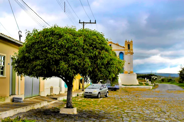 Pequena árvore com topo arredondado em uma rua de paralelepípedos com casas simples. Ao fundo, carros estacionados em frente a uma antiga igreja branca e amarela.