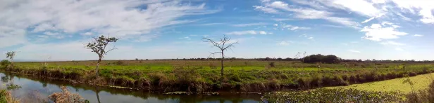 Visão panorâmica de vegetação baixa até o horizonte. Em primeiro plano, um curso d'água coberto por vegetação. À esquerda, uma árvore de poucas folhas. Ao centro, uma árvore seca.