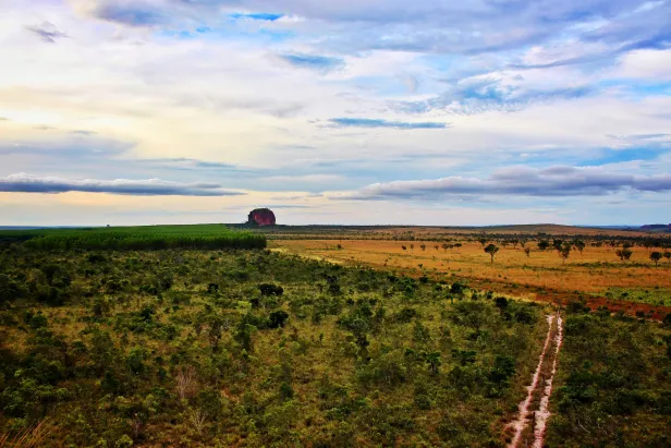 Formação rochosa em forma de cubo ao fundo sob um céu azul com nuvens brancas. Na parte inferior, a vegetação se divide na diagonal entre verde e amarelo, com uma estrada de terra no canto.